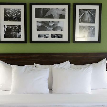 Sleep Inn&Suites Belmont - St. Clairsville Extérieur photo